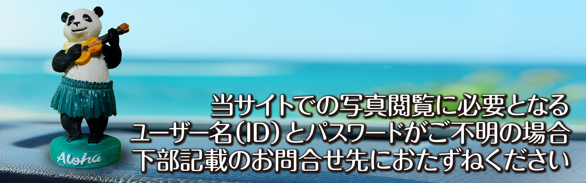スライド画像05